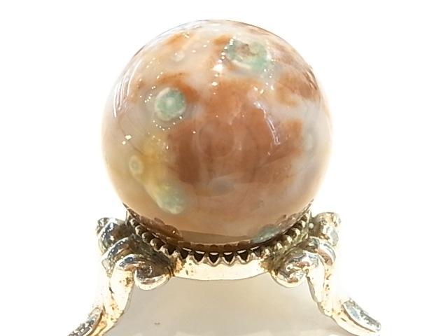 ��K00024F ��������󥸥㥹�ѡ����ݶ�