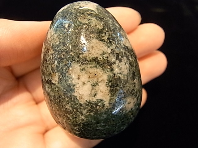 EK00011F �ץ쥻��֥롼���ȡ��󡡥��å���