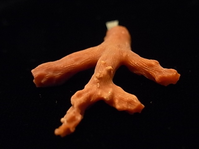 PK00154F ��åɥ�����롡����С��ڥ����ȥإå�(���泤��)