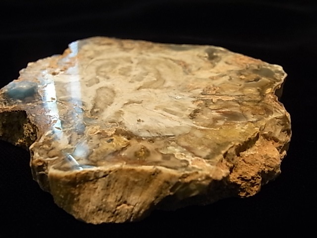 GK00085F  �ڥȥ�ե����ɥ��å� ���饤�����åȸ���(���꥾�ʻ�)���ڴ����Сۡ�