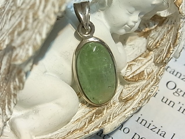 PY0018F �����꡼�󥫥�ʥ��ȡ��ڥ����ȥȥå�