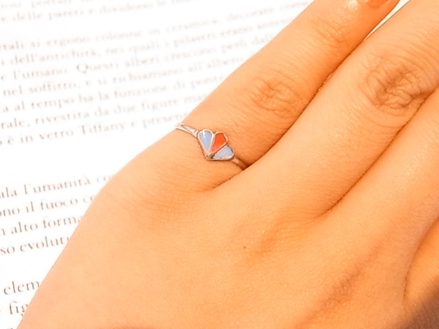 RK0011��F ���������������ѥ��ˡ����������������롡 ��� (�ϥ�ɥᥤ�ɡ�����²)