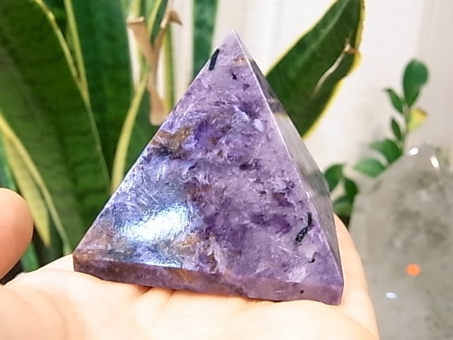 UE00011K������������� �ԥ�ߥå�