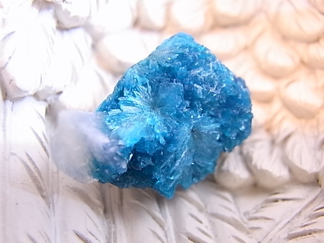 BU0126F ���Х󥵥��ȸ��С�����ɻ�