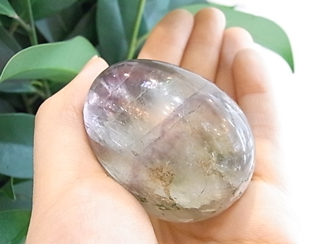 BU00131F �ե����饤�� ���å�