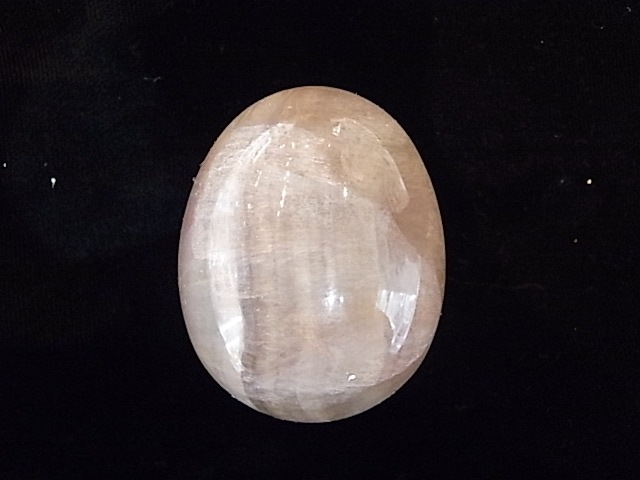 BU00134F �ե����饤�� ���å�