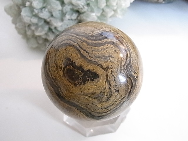 BU00174�����ȥ��ޥȥ饤�ȡ��ڥ롼��