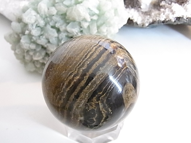 BU00177�����ȥ��ޥȥ饤�ȡ��ڥ롼��