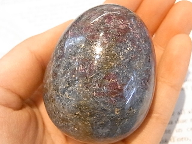 EK00027F Тӡ󥫥ʥȡå(ɻ)