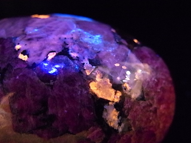 EK00029F ������Т�桼�ǥ����饤�ȡ����å���(��������)