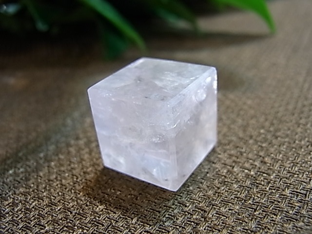 UE00094K �ץ�ȥ�Ω�Ρ�5�ĥ��å�