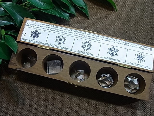 UE00095K �ץ�ȥ�Ω�Ρ�5�ĥ��å�