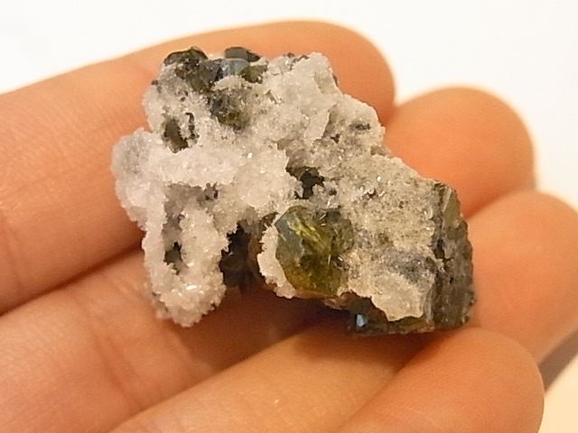 ��K00273F ���ե���饤�ȡ����С��ڴ����С�(�֥륬�ꥢ��)