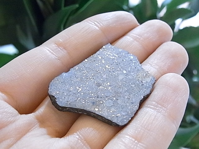 BU00203F����ƥ��饤�ȡ�NWA869