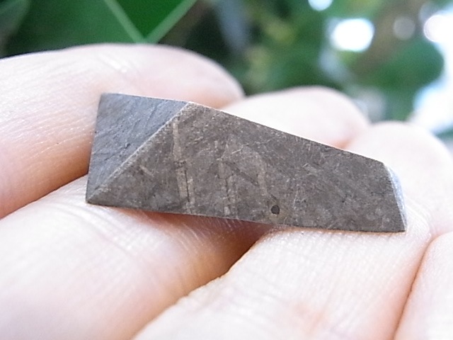 BU00205Fƥ饤 Gibeon