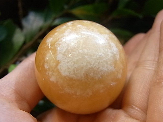 UE00115K������󥸥��륵���ȡ����å�