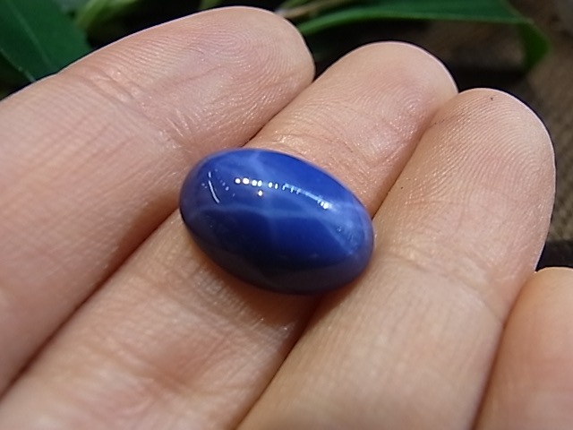 UE00117K ���������ե��������롼��(����ù�)