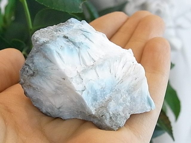 BU00218F�����ޡ�������
