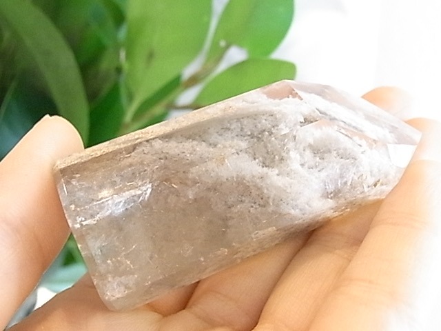BU00261F �ۥ磻�ȥ����ǥ󥯥�����