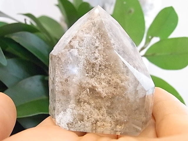 BU00262F �ۥ磻�ȥ����ǥ󥯥�����