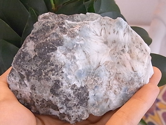BU00286F ���ޡ�����
