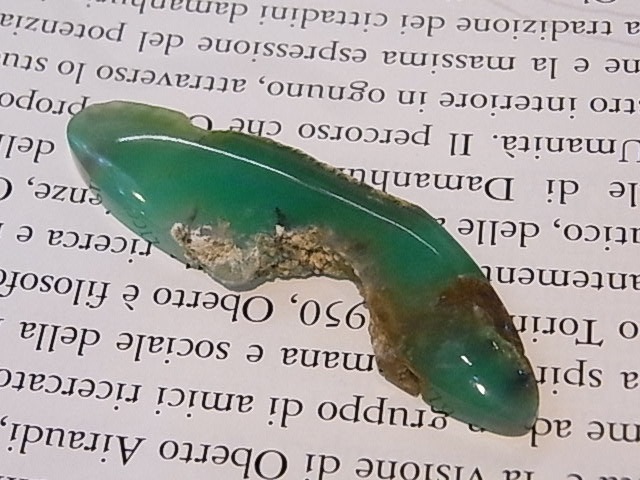 BU00327F ���꥽�ץ졼�����������ȥ�ꥢ