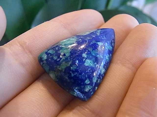 BU00335F �֥롼�С��ɡ������饤��