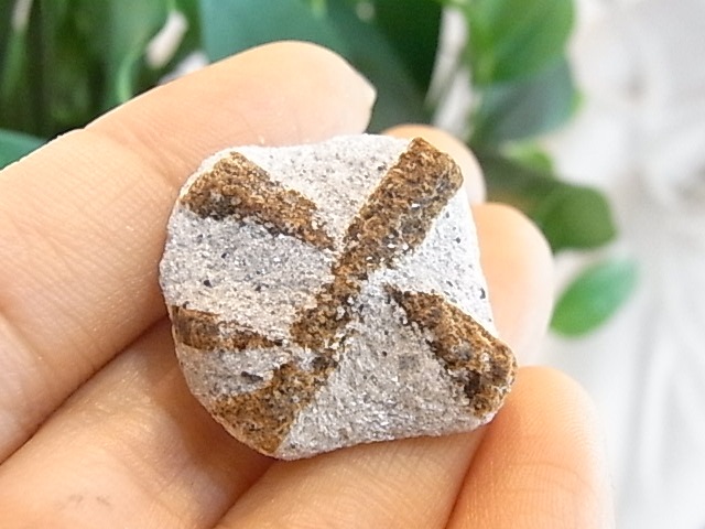 BU00378�ơ����������饤�ȡ���������