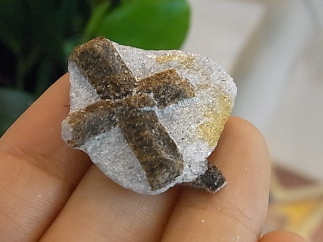 BU00379�ơ����������饤�ȡ���������