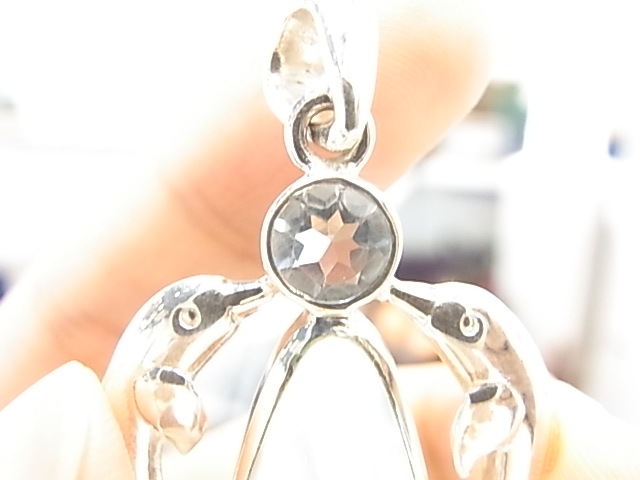 PA00012F Dolphins (Lei) ���ޡ����������ޥ�󡡥ڥ����ȥȥå�