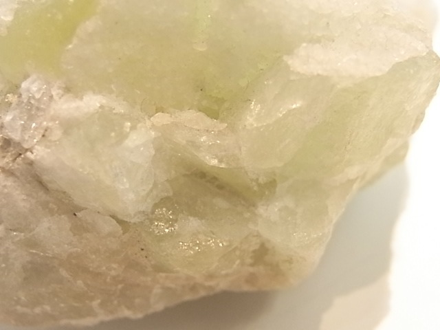 GA00053F���ɥ��롼�����ե����饤�� ����