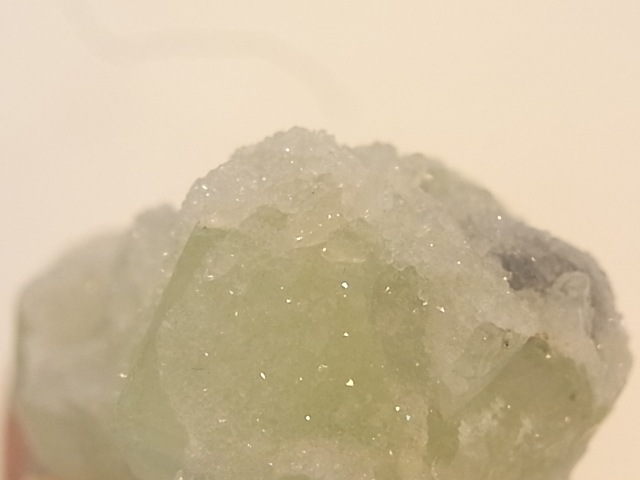 GA00054F���ɥ��롼�����ե����饤�� ����