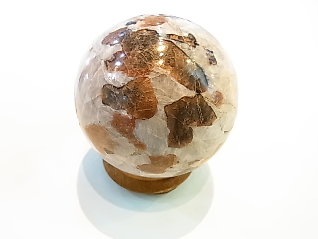 �ڥ������оݳ��ۡ�PAJ0009F ������ޥ��ȡʥ˥塼���㡼�������ˡ��ݶ�