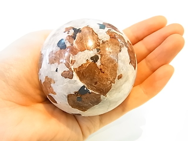 �ڥ������оݳ��ۡ�PAJ0009F ������ޥ��ȡʥ˥塼���㡼�������ˡ��ݶ�