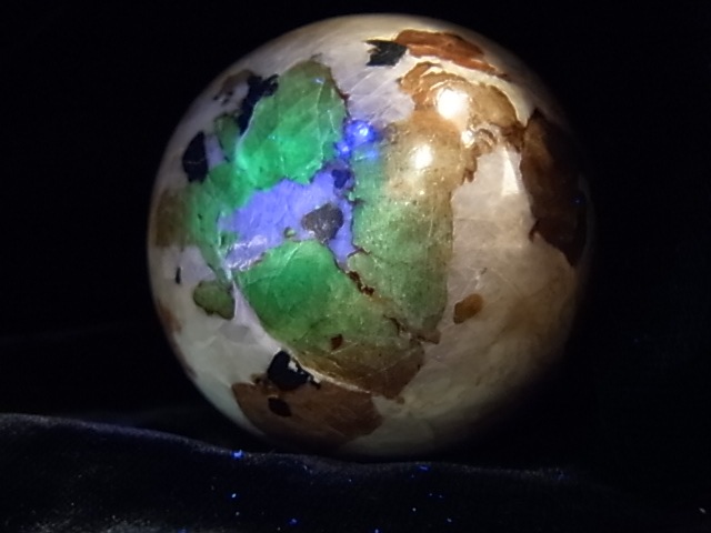 �ڥ������оݳ��ۡ�PAJ0009F ������ޥ��ȡʥ˥塼���㡼�������ˡ��ݶ�