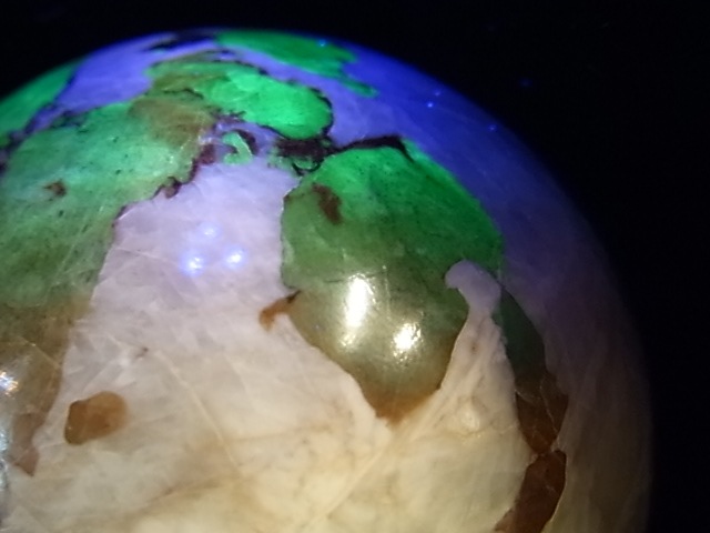 �ڥ������оݳ��ۡ�PAJ0009F ������ޥ��ȡʥ˥塼���㡼�������ˡ��ݶ�