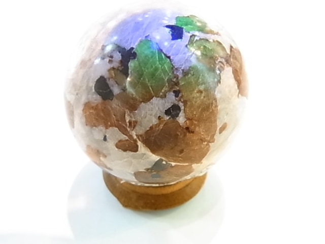 �ڥ������оݳ��ۡ�PAJ0009F ������ޥ��ȡʥ˥塼���㡼�������ˡ��ݶ�