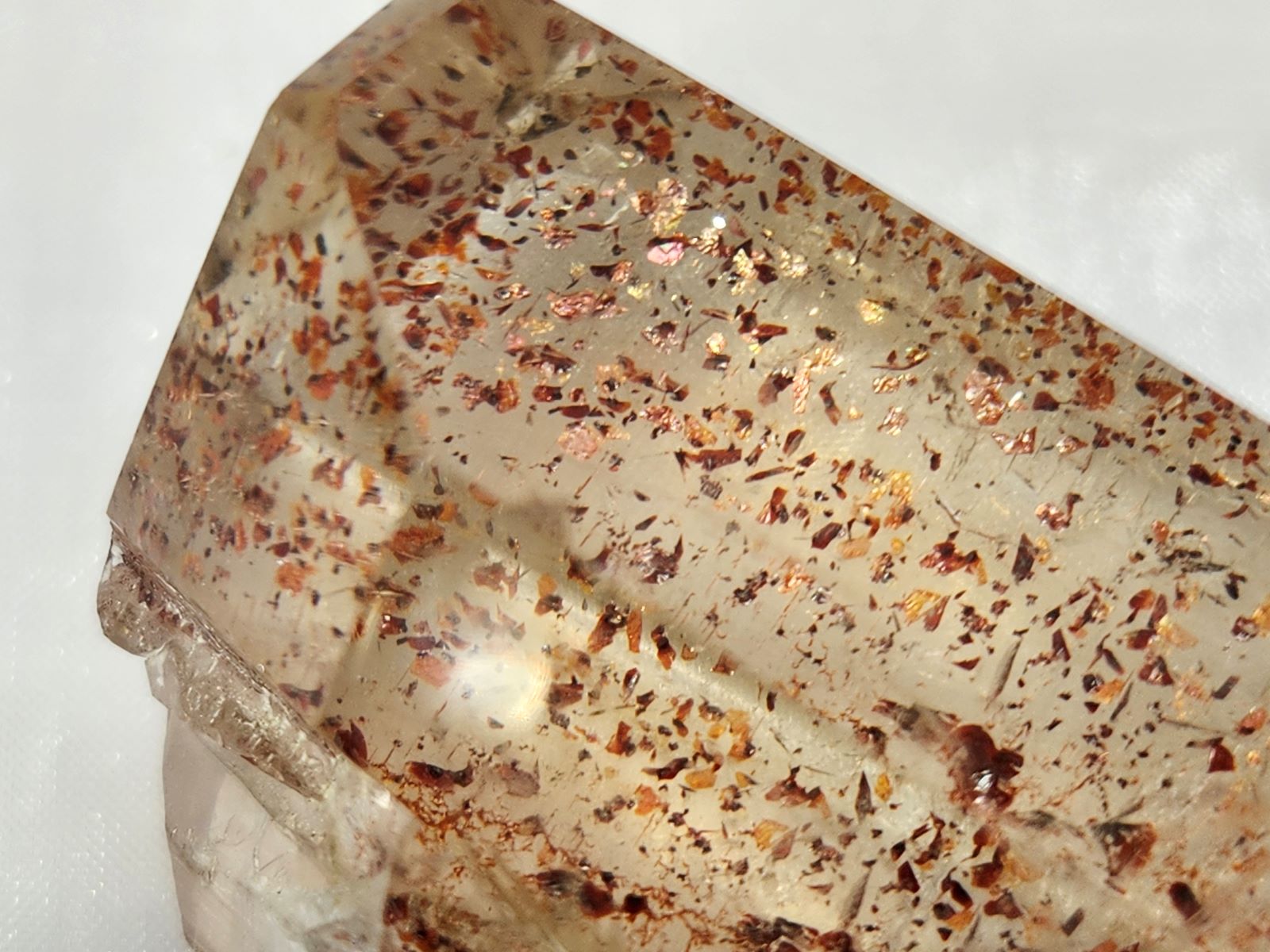 GIT0001F ԥɥ  ȥʥޥ뻺