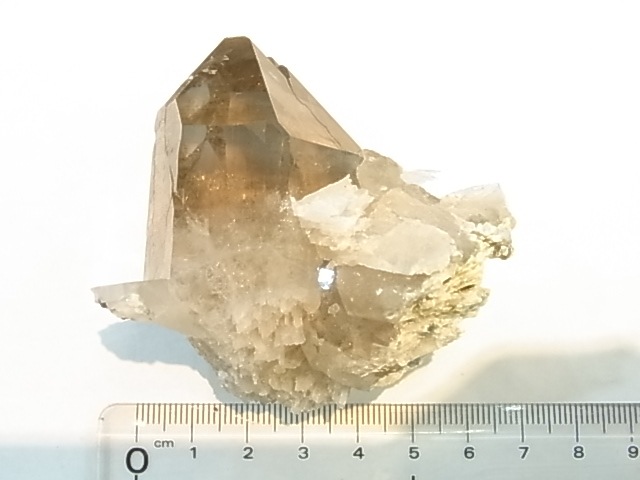 GA00137F֥徽Сե󥹻