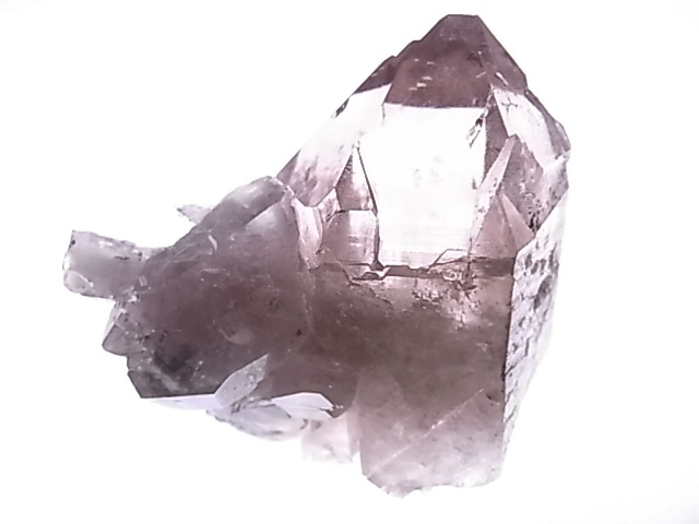 GA00137F֥徽Сե󥹻