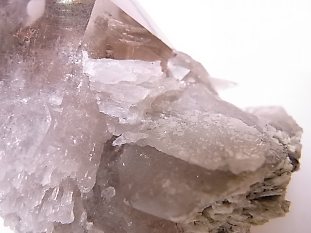 GA00137F֥徽Сե󥹻