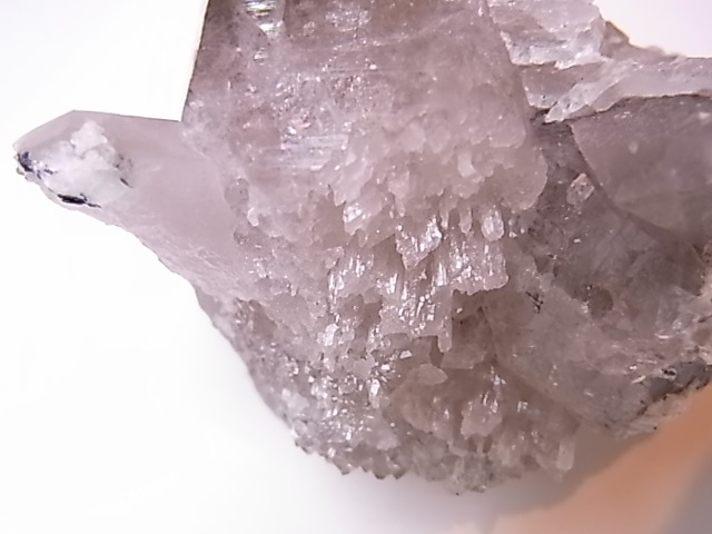 GA00137F֥徽Сե󥹻