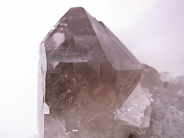 GA00137F֥徽Сե󥹻