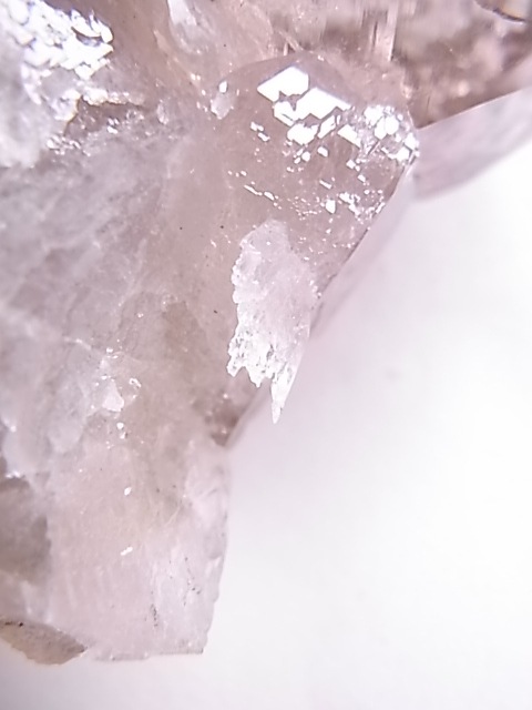 GA00137F֥徽Сե󥹻