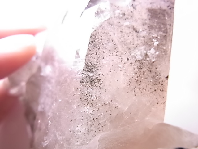 GA00137F֥徽Сե󥹻