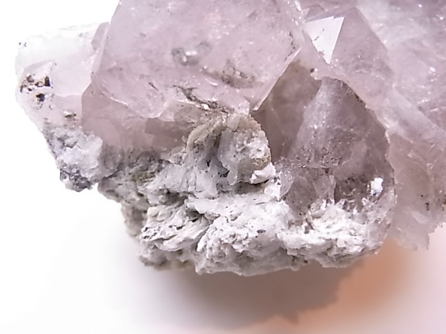 GA00137F֥徽Сե󥹻