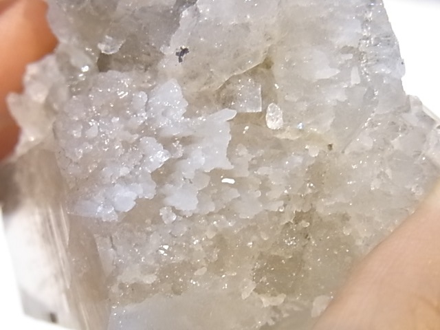 GA00137F֥徽Сե󥹻