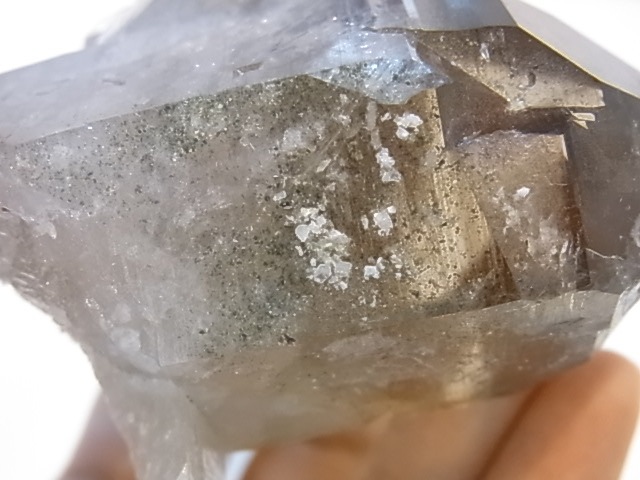 GA00137F֥徽Сե󥹻