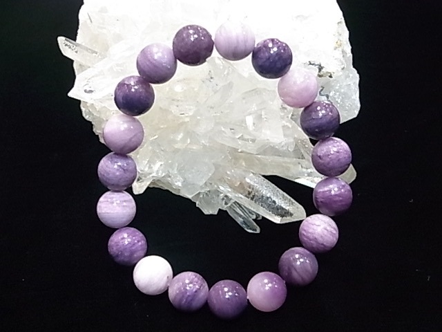 BA00017K���ե����饤�ȡʥ��������� 10�����̥֥쥹��å�