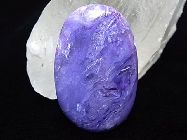 PA00099Kȡꤢڥȥȥå